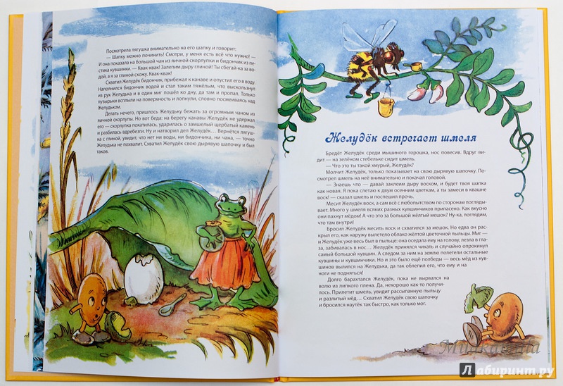 Иллюстрация 72 из 73 для Желудёк - Маргарита Старасте | Лабиринт - книги. Источник: Букландия