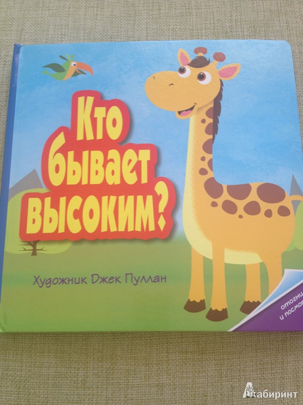 Иллюстрация 20 из 30 для Кто бывает высоким? | Лабиринт - книги. Источник: Лабиринт