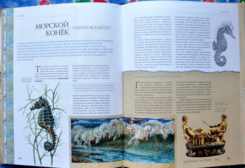 Иллюстрация 14 из 18 для Животные, растения. Мифы и легенды - Бабенко, Алексеев, Белова | Лабиринт - книги. Источник: Ассоль