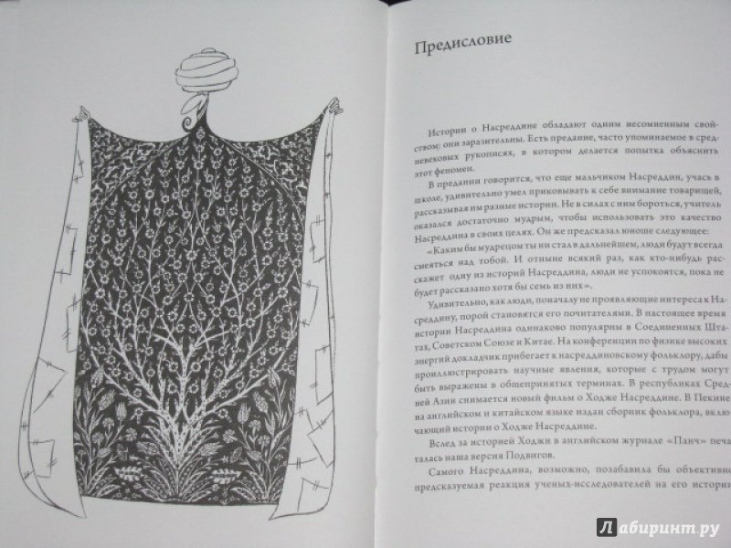 Иллюстрация 24 из 37 для Выходки невероятного Ходжи Насреддина - Идрис Шах | Лабиринт - книги. Источник: Nemertona
