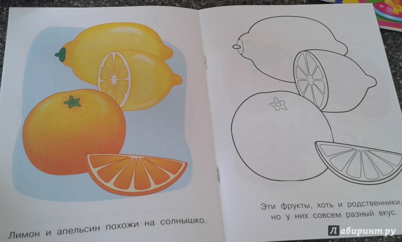 Иллюстрация 11 из 14 для Фрукты и ягоды. Малинка | Лабиринт - книги. Источник: Док-2509