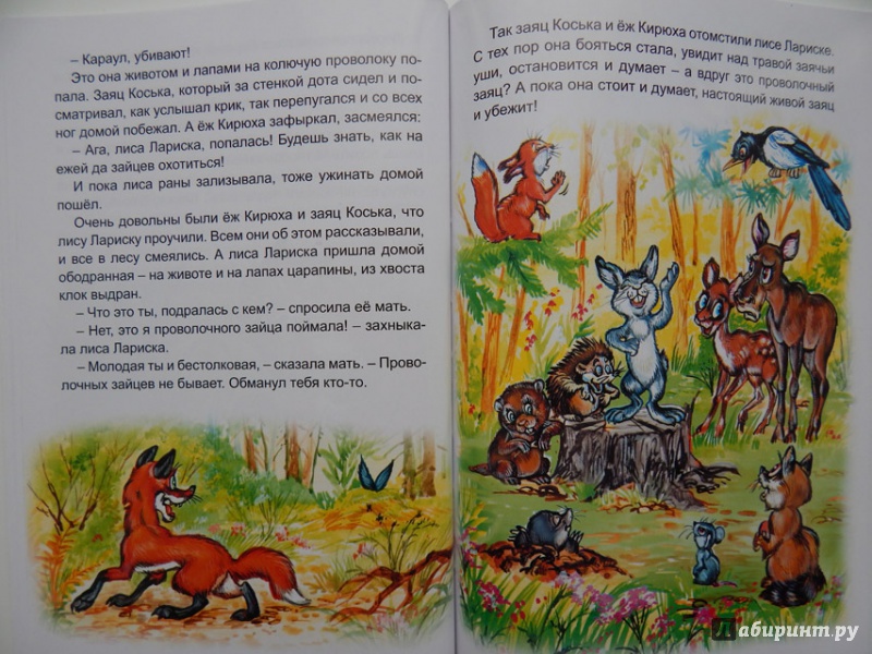 Иллюстрация 10 из 15 для Сказки нашего леса - Николай Грибачев | Лабиринт - книги. Источник: Мелкова  Оксана