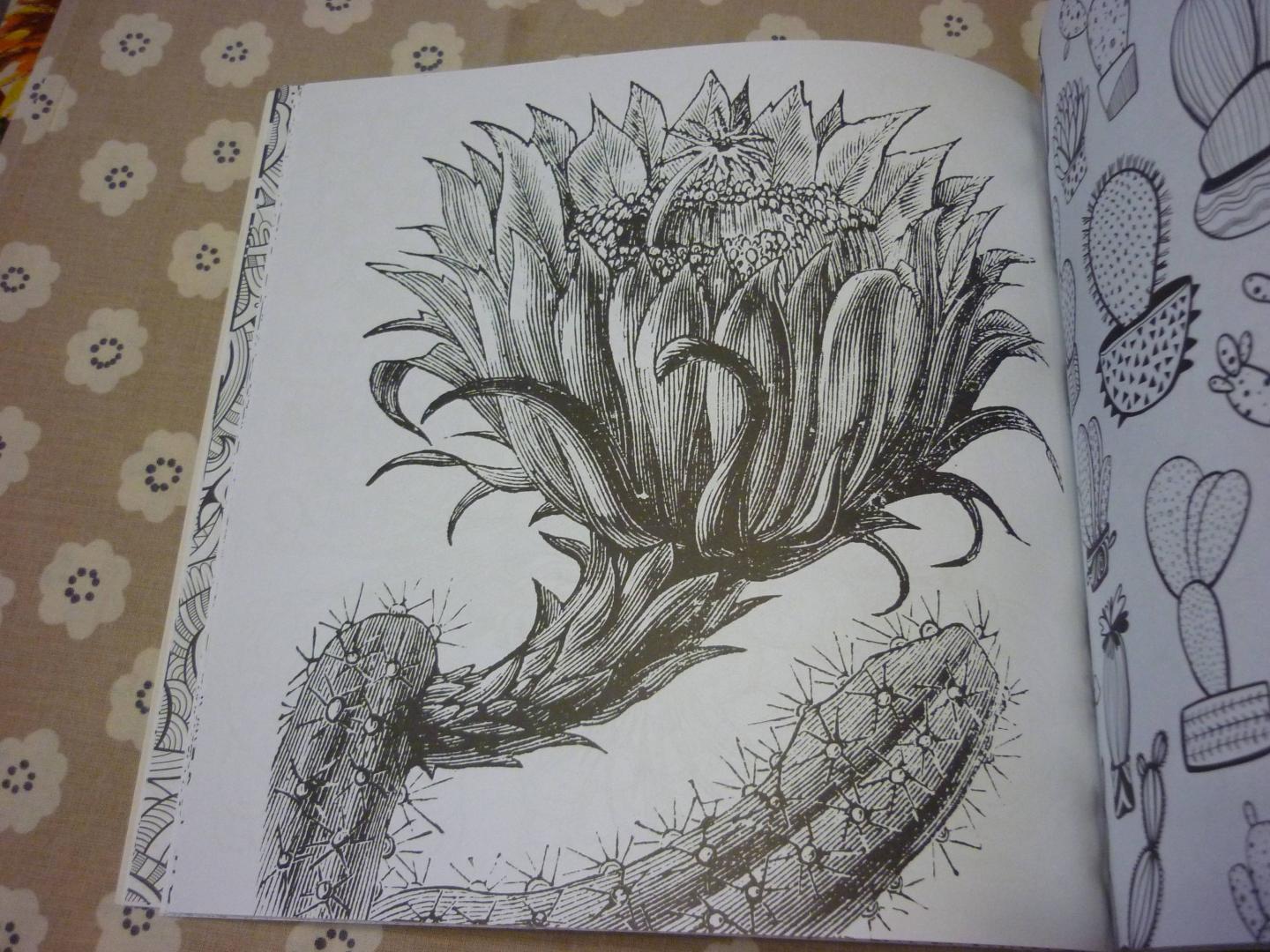 Иллюстрация 23 из 46 для Cactus party. Раскраска-оазис для творчества | Лабиринт - книги. Источник: Лабиринт