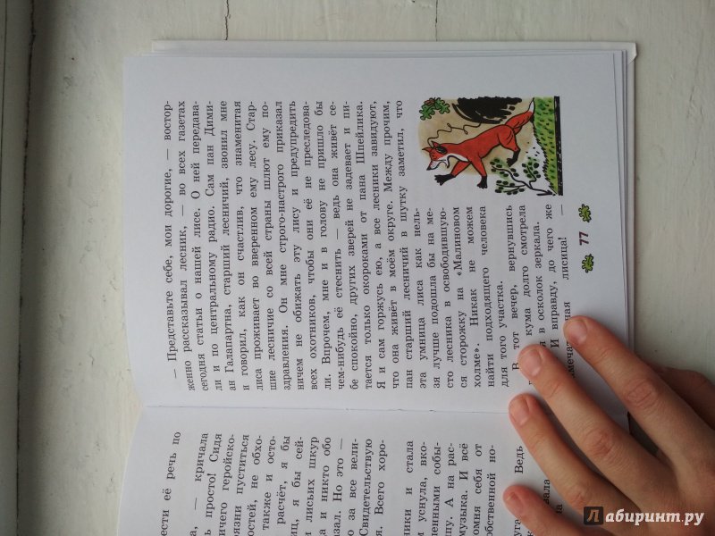 Иллюстрация 35 из 43 для О хитрой куме лисе - Йозеф Лада | Лабиринт - книги. Источник: Шаврина  Марина