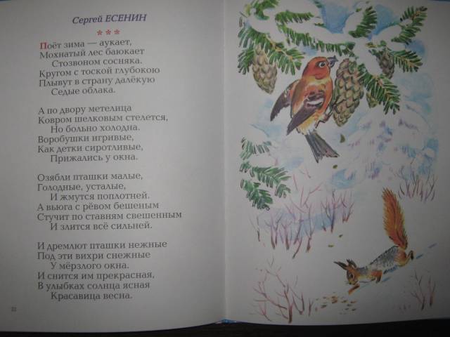 Иллюстрация 19 из 23 для Зимние сказки | Лабиринт - книги. Источник: Спанч Боб