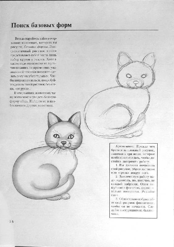 Иллюстрация 4 из 24 для Учимся рисовать животных - Ли Хэммонд | Лабиринт - книги. Источник: Caaat
