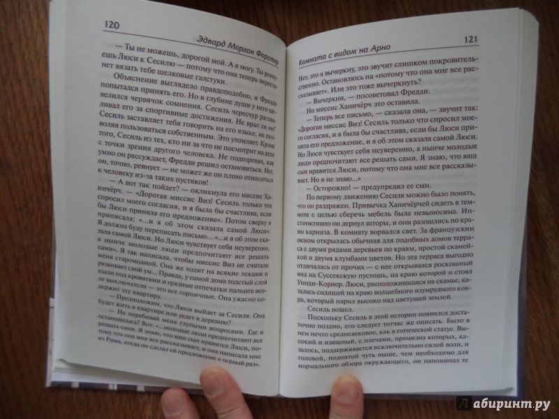 Иллюстрация 29 из 30 для Комната с видом на Арно - Эдвард Форстер | Лабиринт - книги. Источник: Kirill  Badulin