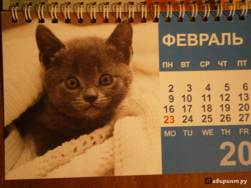 Иллюстрация 4 из 13 для Календарь-домик 2015 "Котята" | Лабиринт - сувениры. Источник: D8  _