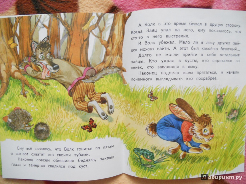 Иллюстрация 7 из 18 для Сказка про храброго зайца - длинные уши, косые глаза, короткий хвост - Дмитрий Мамин-Сибиряк | Лабиринт - книги. Источник: Шатикова  Ирина