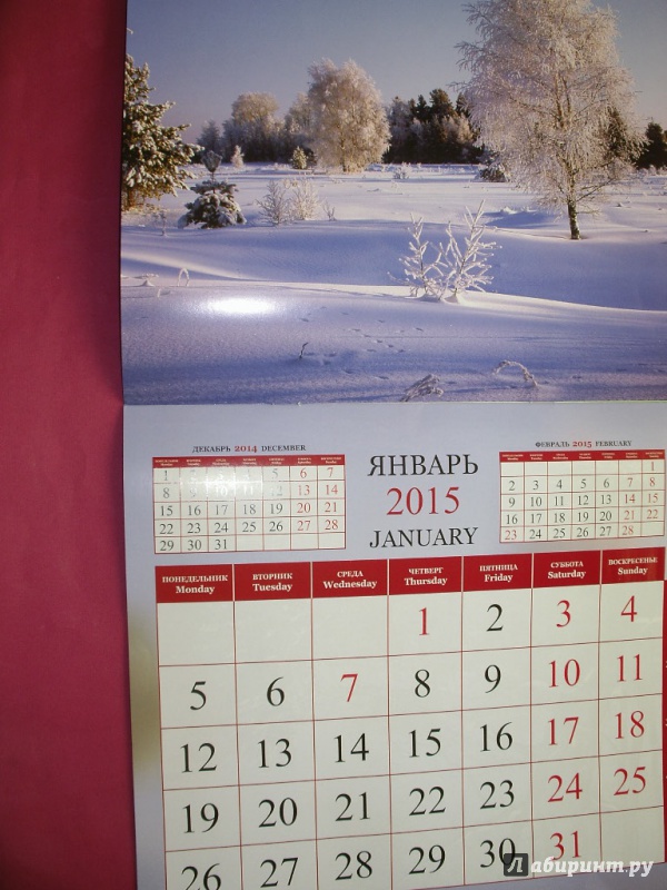 Иллюстрация 3 из 31 для Календарь 2015 "Природа России" | Лабиринт - сувениры. Источник: Tiger.