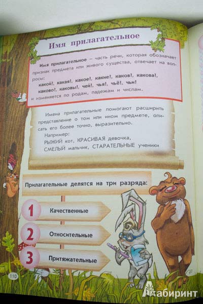 Иллюстрация 29 из 48 для Все правила русского языка для детей - Мария Фетисова | Лабиринт - книги. Источник: Wacomka