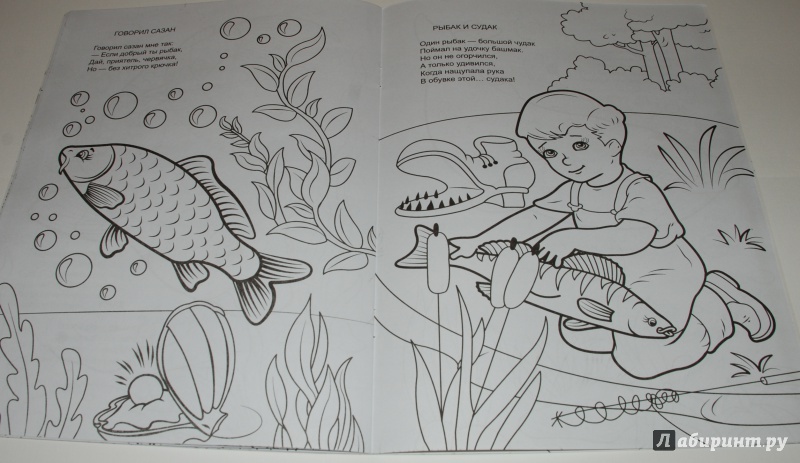 Иллюстрация 10 из 11 для Форелевая речка - Н. Красильников | Лабиринт - книги. Источник: Лабиринт