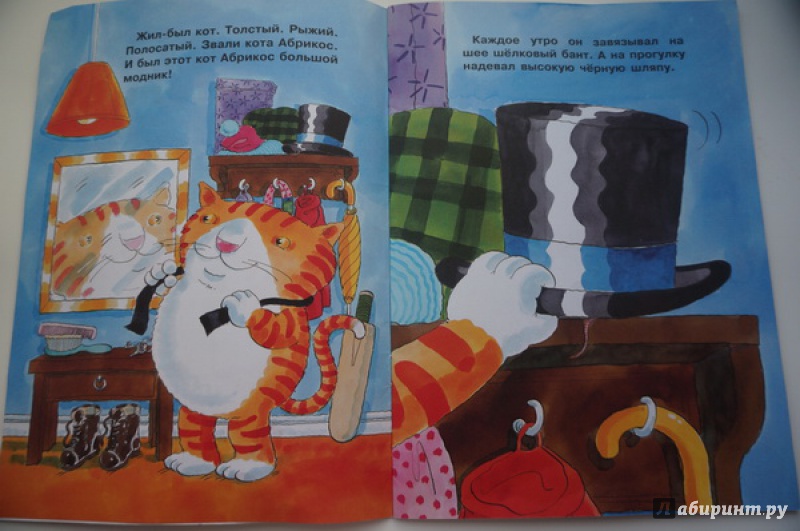 Иллюстрация 2 из 35 для Кот в шляпе | Лабиринт - книги. Источник: Николаева  Ирина