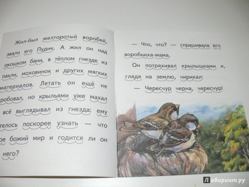 Иллюстрация 21 из 27 для Воробьишко - Максим Горький | Лабиринт - книги. Источник: Irbis