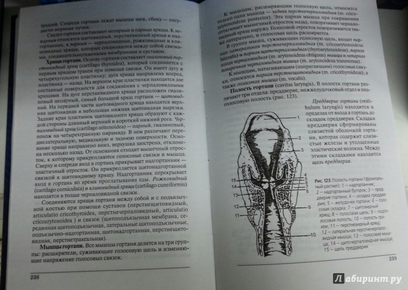 Иллюстрация 3 из 13 для Анатомия и физиология человека. Учебник - Николай Федюкович | Лабиринт - книги. Источник: Den