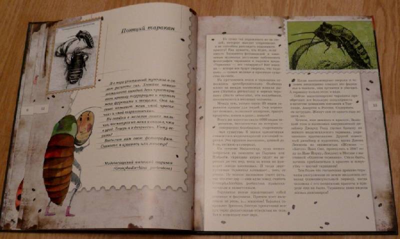 Иллюстрация 10 из 103 для Письма насекомых - Ольга Кувыкина | Лабиринт - книги. Источник: Pam