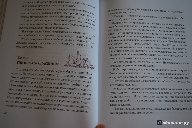 Иллюстрация 15 из 74 для Болотные робинзоны - Софья Радзиевская | Лабиринт - книги. Источник: Нади
