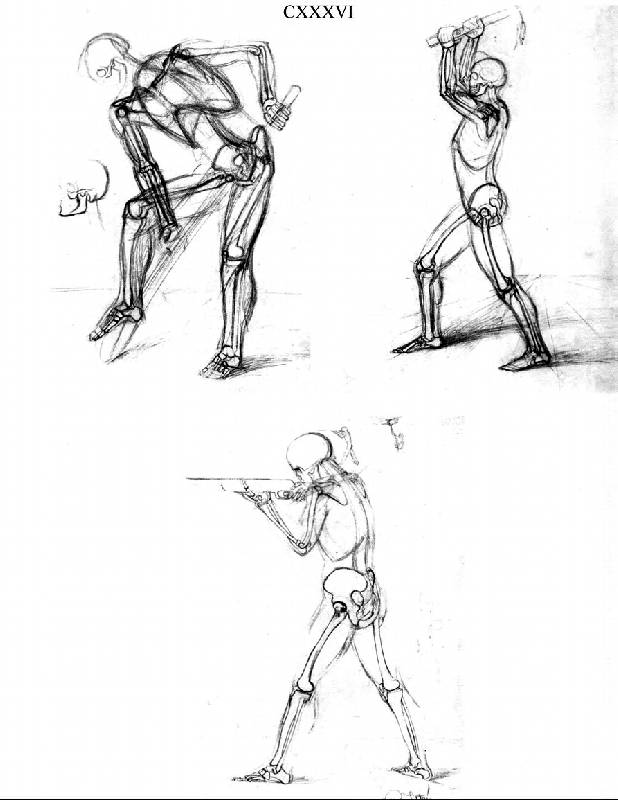 Иллюстрация 13 из 25 для Анатомия для художников - Ене Барчаи | Лабиринт - книги. Источник: Panterra