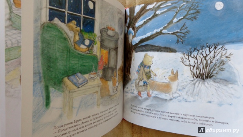 Иллюстрация 20 из 54 для Зима мишки Бруно - Гунилла Ингвес | Лабиринт - книги. Источник: Матти Суоми