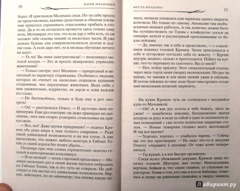 Иллюстрация 14 из 23 для Месть колдуна - Юрий Иванович | Лабиринт - книги. Источник: Соловьев  Владимир