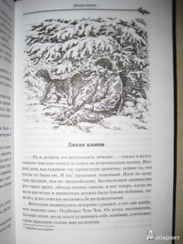 Иллюстрация 12 из 12 для Дикие камни - Константин Янковский | Лабиринт - книги. Источник: Макарова  Елена