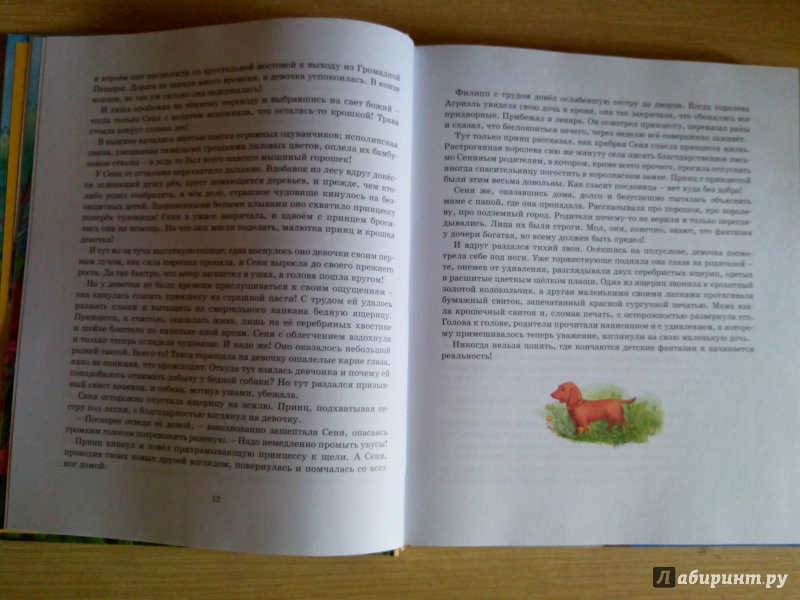 Иллюстрация 14 из 60 для Колдовской сапфир - Антонина Дельвиг | Лабиринт - книги. Источник: Эйтери