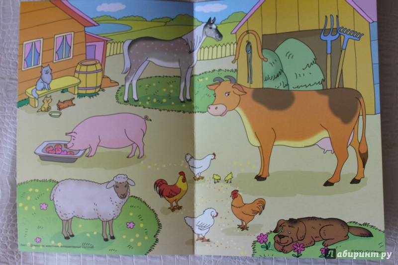 Иллюстрация 20 из 38 для Домашние животные. Интерактивные карточки по познавательно-речевому развитию - Елена Косинова | Лабиринт - игрушки. Источник: Svetlan