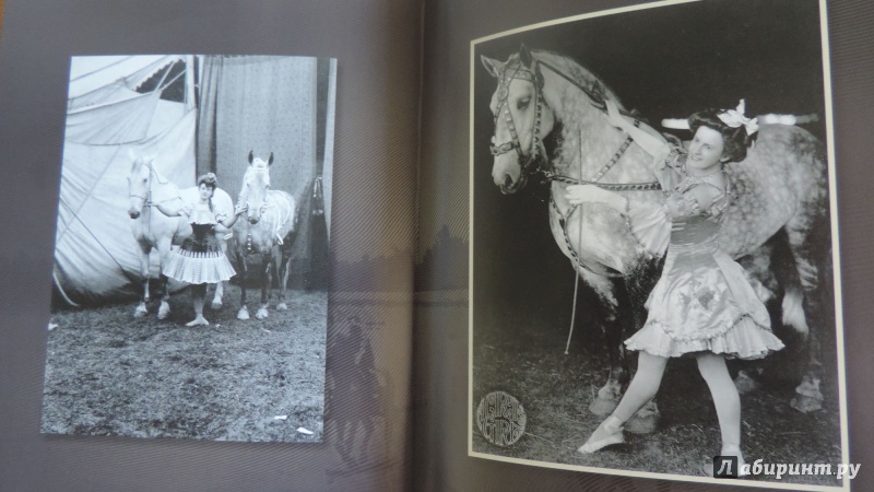 Иллюстрация 8 из 15 для Лошади. Старинные открытки и иллюстрации | Лабиринт - книги. Источник: Читалкины