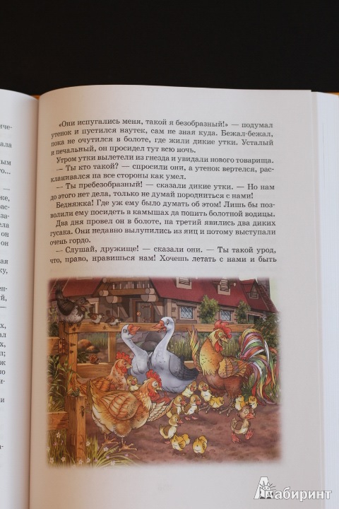 Иллюстрация 100 из 105 для Большая книга сказок - Гримм, Перро, Гауф, Андерсен | Лабиринт - книги. Источник: LittleDragon