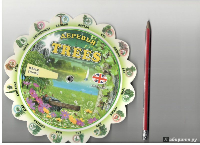 Иллюстрация 11 из 12 для Тематический словарь "Trees. Деревья" | Лабиринт - книги. Источник: Nanced Lovett