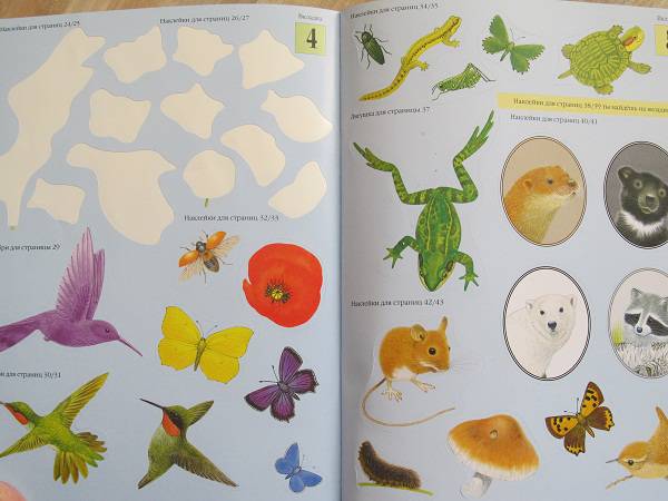 Иллюстрация 7 из 7 для Чудо-наклейки. Счет и цвет - Морис Пледжер | Лабиринт - книги. Источник: Choo-Cha