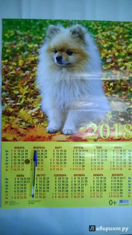 Иллюстрация 2 из 3 для 2018 Календарь "Год собаки. Померанский шпиц" (90826) | Лабиринт - сувениры. Источник: Оля-ля