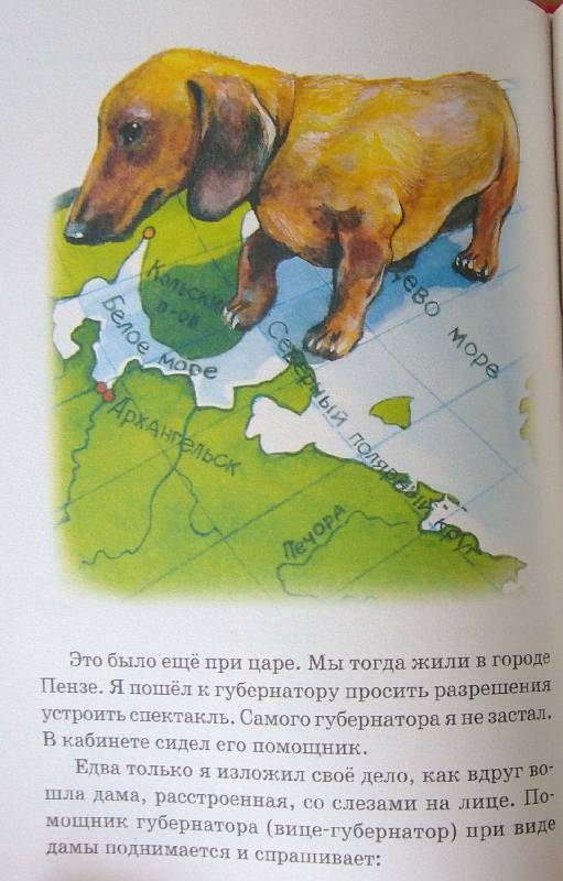 Иллюстрация 28 из 32 для Мои звери - Владимир Дуров | Лабиринт - книги. Источник: Челла