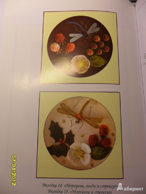 Иллюстрация 17 из 17 для Искусство объемной вышивки. Цветочные и фруктовые мотивы - Джен Николас | Лабиринт - книги. Источник: Ankosik