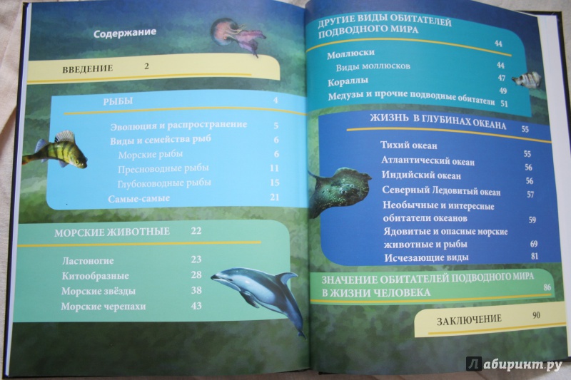 Иллюстрация 24 из 77 для Хочу знать. Подводный мир - Наталья Кульмина | Лабиринт - книги. Источник: kolobus