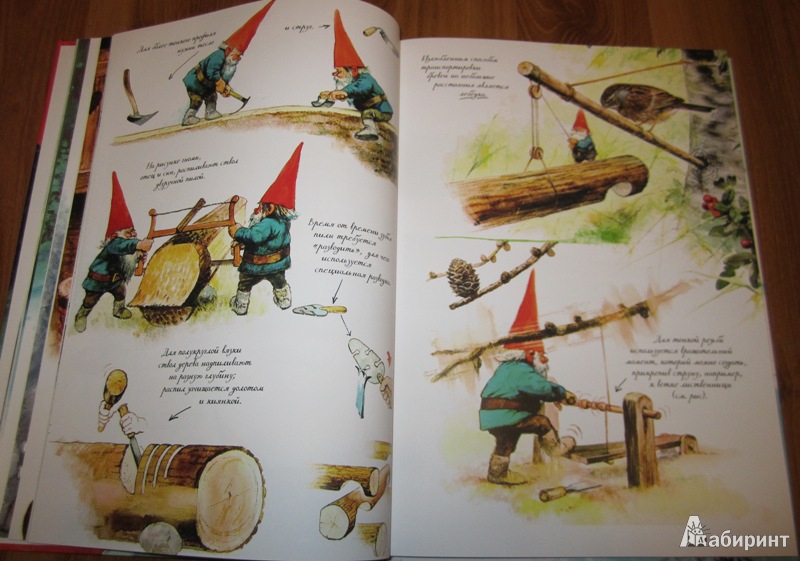 Иллюстрация 5 из 77 для Тайны гномов - Вил Хёйген | Лабиринт - книги. Источник: Лисенка