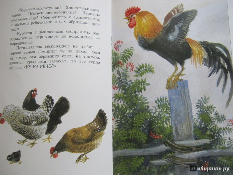 Иллюстрация 45 из 46 для Бишка - Константин Ушинский | Лабиринт - книги. Источник: leontyua