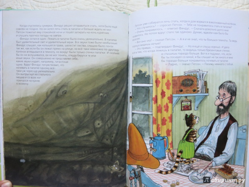 Иллюстрация 22 из 44 для Петсон идёт в поход - Свен Нурдквист | Лабиринт - книги. Источник: Юта
