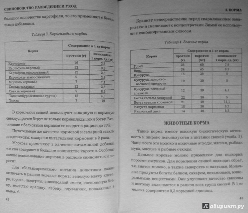 Иллюстрация 5 из 11 для Свиноводство. Разведение и уход - Татьяна Утенкова | Лабиринт - книги. Источник: SiB