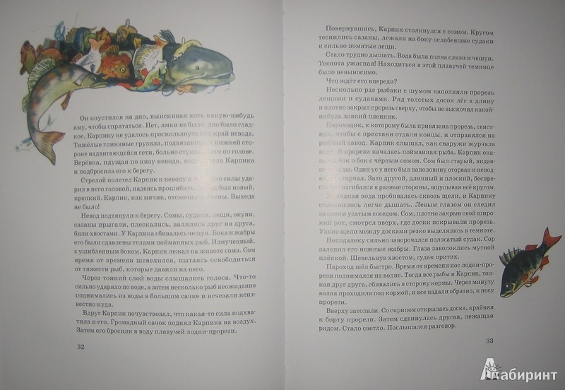 Иллюстрация 18 из 65 для Приключения Карпика - Андрей Клыков | Лабиринт - книги. Источник: Трухина Ирина