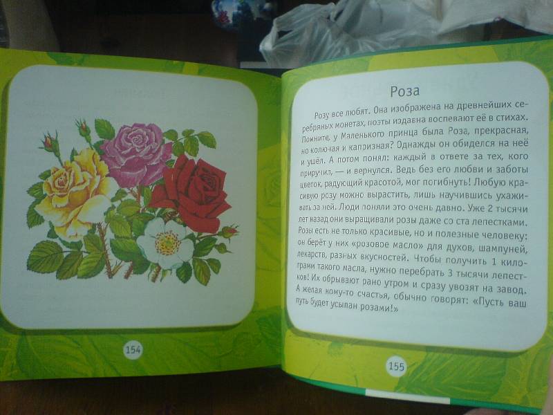 Иллюстрация 4 из 13 для Удивительные растения: Моя первая книга о природе - Инна Шустова | Лабиринт - книги. Источник: Киви