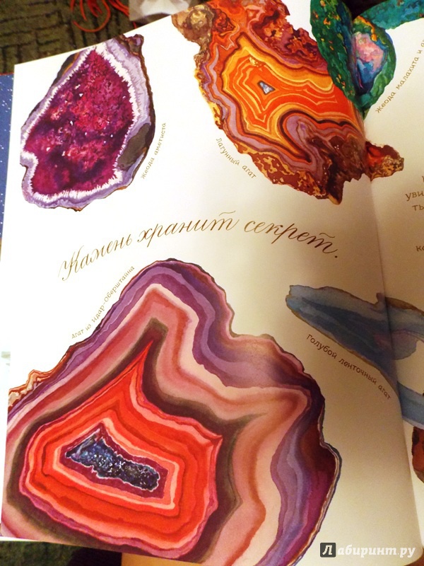 Иллюстрация 78 из 86 для У камня своя история - Дианна Астон | Лабиринт - книги. Источник: Virchenko  Lenka