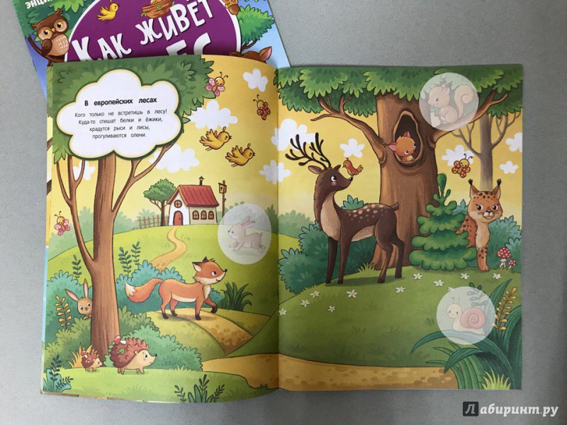 Иллюстрация 6 из 11 для Как живет лес. Книжка с наклейками | Лабиринт - книги. Источник: Оганесян  Сюзи