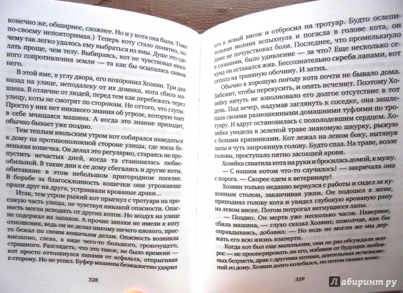 Иллюстрация 4 из 27 для Долгий полет - Виталий Бернштейн | Лабиринт - книги. Источник: Александр Н.