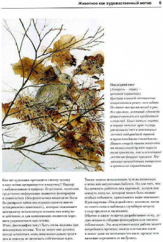Иллюстрация 5 из 15 для Животные и птицы. Акварель - Бодо Майер | Лабиринт - книги. Источник: Росинка