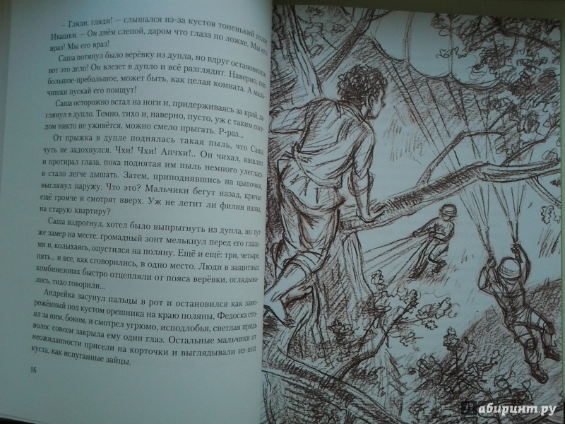Иллюстрация 48 из 74 для Болотные робинзоны - Софья Радзиевская | Лабиринт - книги. Источник: Olga
