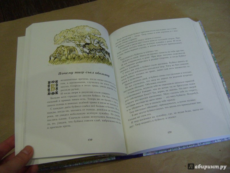 Иллюстрация 80 из 80 для Сказки народов Азии - Нисон Ходза | Лабиринт - книги. Источник: Labi