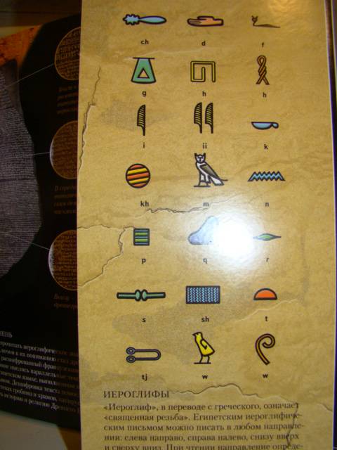 Иллюстрация 9 из 18 для Гробница Тутанхамона. Школа открытий - Джен Грин | Лабиринт - книги. Источник: D.OLGA