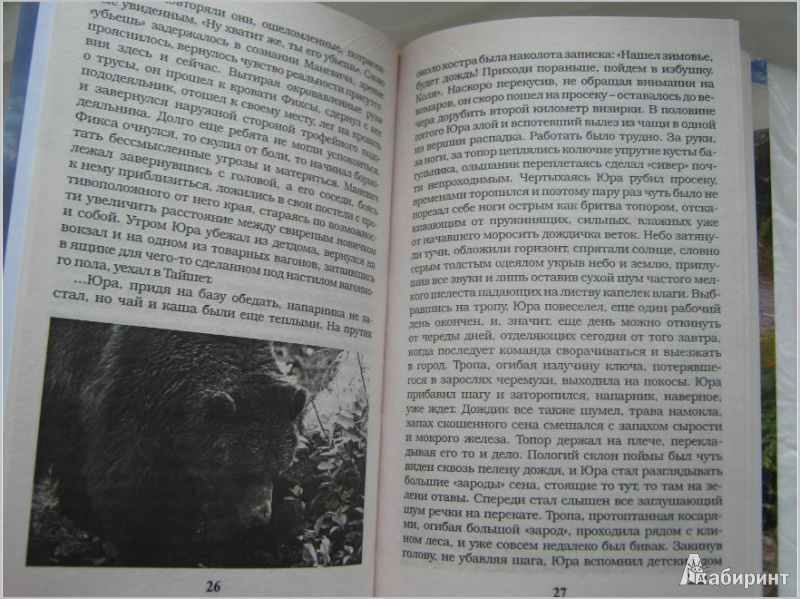 Иллюстрация 2 из 10 для Говорят, медведи не кусаются - Владимир Кабаков | Лабиринт - книги. Источник: Фрол