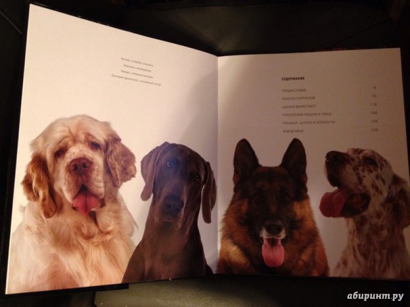 Иллюстрация 8 из 37 для Жизнь собак - Громис ди Трана Катерина | Лабиринт - книги. Источник: Natali007